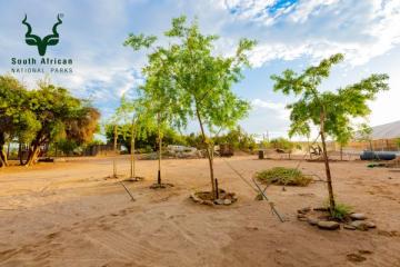 ai-ais-richtersveld-transfrontier-park-sendelingsdrif-camp